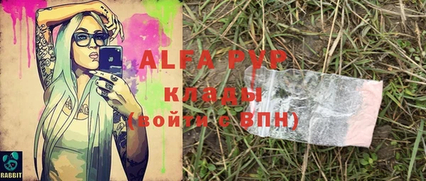 хмурый Арсеньев