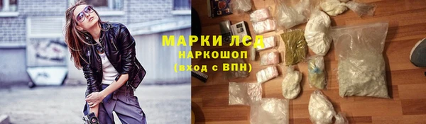хмурый Арсеньев