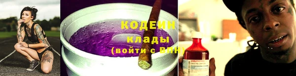хмурый Арсеньев