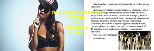 хмурый Арсеньев