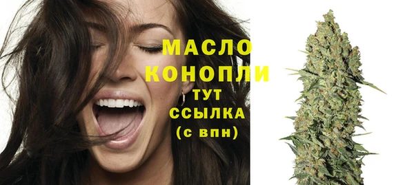 хмурый Арсеньев