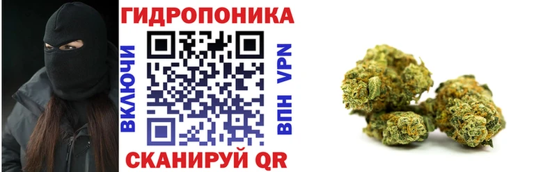 Шишки марихуана VHQ  мега ссылка  Давлеканово  продажа наркотиков 